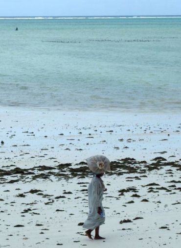 woman carrying sea harvest, Women empowerment, gender organisation, gaf, GAF