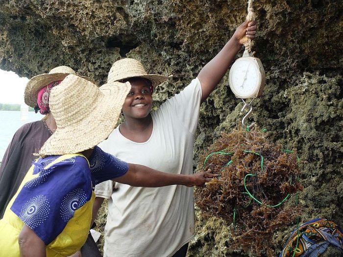 woman seaweed farmers in Zanzibar, Women empowerment, gender organisation, gaf, GAF